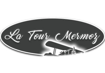 logo-ancenis-tour-mermoz-plmd3cvn7un8f3q4vmmmppg8jdhe6dcn7zxeiflq70